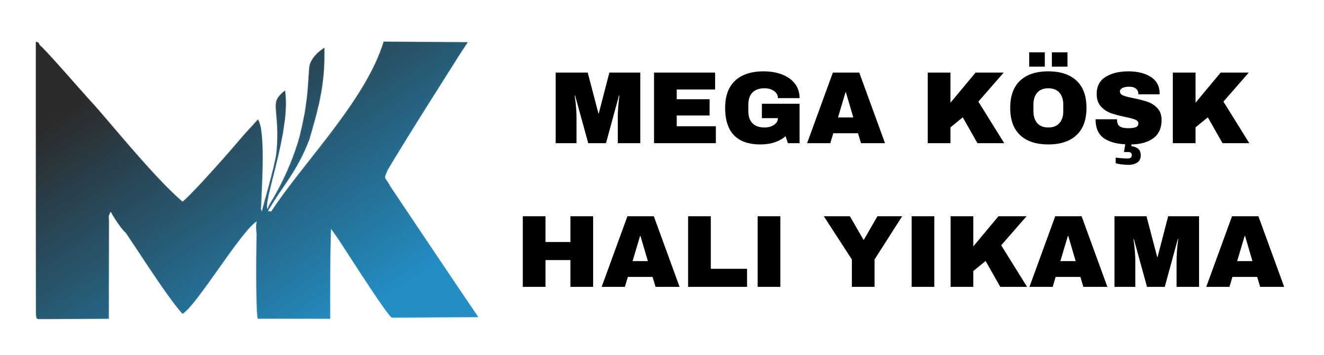 Mega Köşk Halı Yıkama | Kayseri Halı Yıkama | Kayseri Halı Yıkama Firması